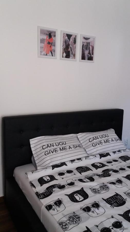 Stan Na Dan Dunja 2 Apartment Vârşeţ Exterior foto